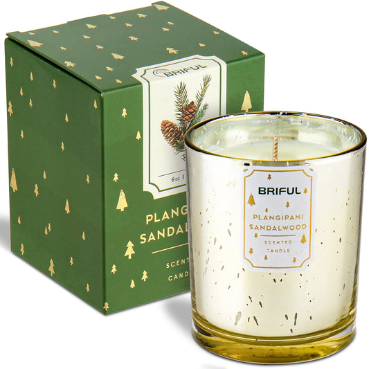 Forest Pine Candle Pine Scented Candles Aromatherapy Soy Candle Jar for Help Relaxing Stress Relief Candles Christmas Gifts Green