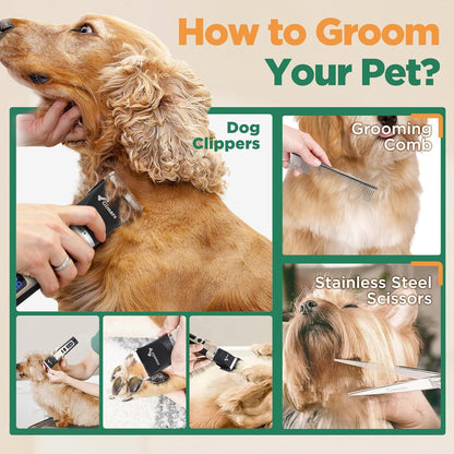 4 in 1 Dog Grooming Clippers with Small Trimmer, 7000RPM High-Power 4-Speed Quiet Pet Shaver (≤55Db), Cordless Rechargeable Dog Hair Clippers for Thick Coats with Scissors, Comb & USB